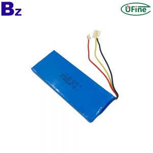 professional_customize_lithium-ion_polymer_with_ntc